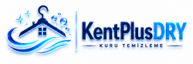 cropped kentplus new logo6250.png